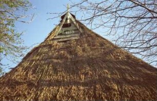 Düpenau: traufständige Fachwerkkate mit Reetdach: in Verfall: Giebelseite: Teilansicht: Dachwalm, daran oben Giebelzier aus Holz, Eulenloch, Jahreszahl 1735