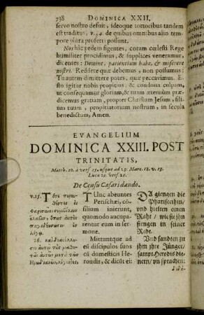 Evangelium Dominica XXIII. Post Trinitatis.