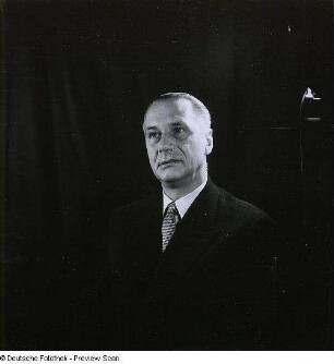 Portraitserie Schmelzer