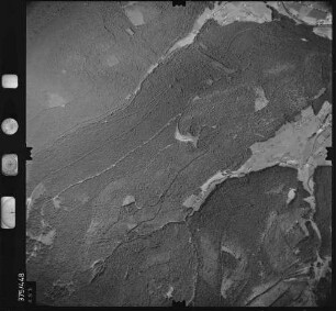 Luftbild: Film 29 Bildnr. 451