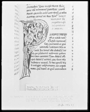 Expositio psalmorum Aurelii Augustini — Initiale P(salmus brevis), Folio 155recto