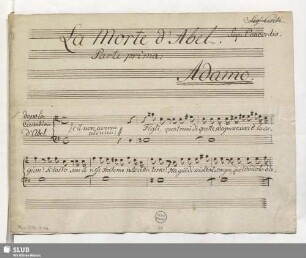 Adamo [Tenor]