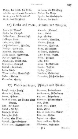 26) Herbs and roots, Kräuter und Wurzeln