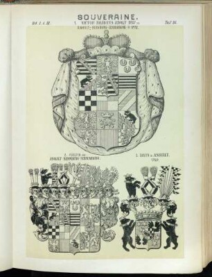 Taf. 34. 1. Victor Amadeus Adolf Graf zu Anhalt - Bernburg - Schaumburg - +1772. 2. Fürsten von Anhalt - Bernburg - Schaumburg. - 3. Grafen v. Anhalt. 1749.