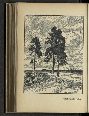 Otto Ubbelohde, Fichten.