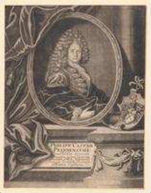 Philipp Caspar Pfannenstiel, Kaiserlicher Pfalzgraf, Rat der Reichsritterschaft zu Franken - Gebirg