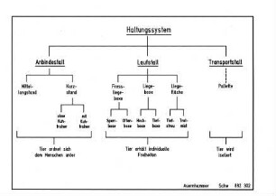 Schema Haltungssystem