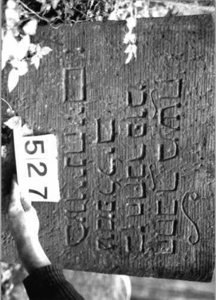 Grabstein 527 (Index: 99802718) Material: Sandstein Zustand: seitl. eingesunken, Textverlust Maße HxBxT: 99x65x10 cm Beschreibung: Stele mit Karniesbogen und profiliertem Rand, Giebelfeld Besonderheit: längerer Text: Grabstein 527 (Detailaufnahme)