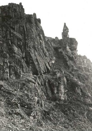 Elbtalschiefergebirge. Hallstein (Hahnenstein, Hahnenkamm). Quarzitriff. Detail von Südwest