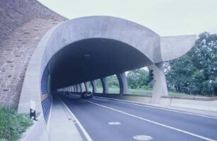 Löwenherz-Tunnel Annweiler