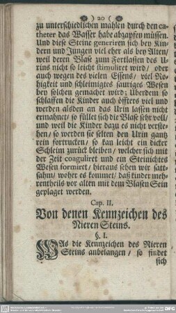 Cap. II. Von denen Kennzeichen des Nieren Steins