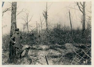 Foto eines französischen Hindernisses im Wald von Ville (-devant-Chaumont)