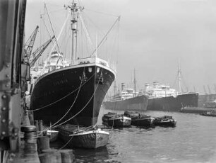 Hamburg, Hafen : Hafen mit Hochseedampfern. Links am Kai die "Caribia"