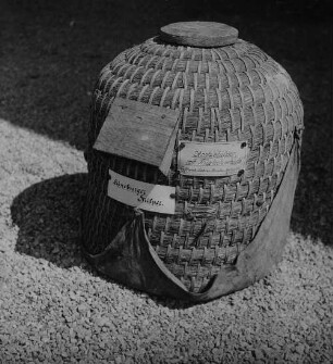 Archivfotografie "motive_tiere_tierzucht_bienen_399"