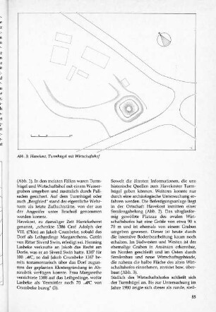 Havekost, Turmhügel mit Wirtschaftshof
