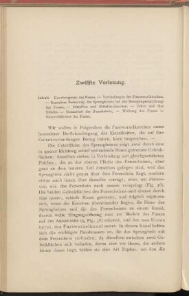 Zwölfte Vorlesung.