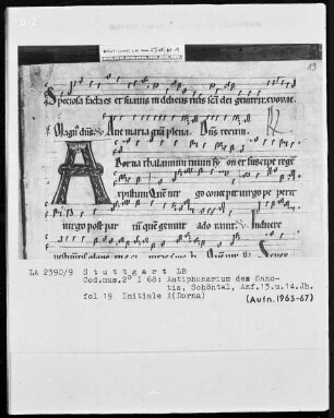 Antiphonarium de Sanctis (Zisterzienserhandschrift) — Initiale A(Dorna), Folio 19recto