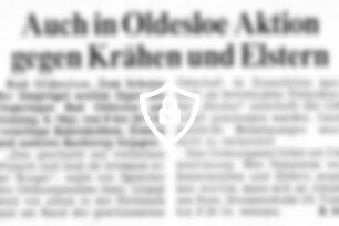 Auch in Oldesloe Aktion gegen Krähen und Elstern