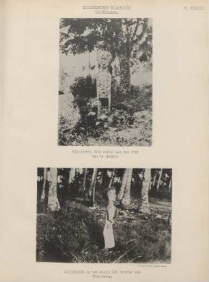 PL. XXXVII. Zuidooster-Eilanden Kei-Eilanden