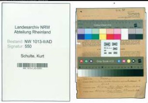 Entnazifizierung Kurt Schulte , geb. 12.01.1906 (Schwimmeister)