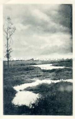 Moorlandschaft an der Lys