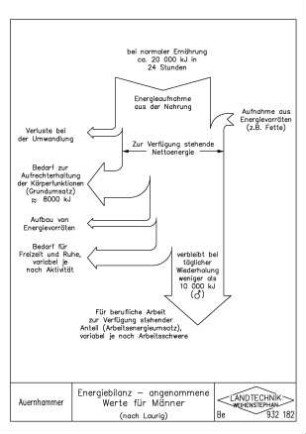 Energiebilanz - angenommene Werte für Männer (nach Laurig)
