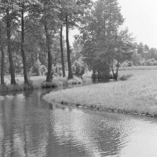 Landschaftsbild. Trotzkefließ in Leipe. : Wobraz krajiny. Groble w Lipjem.