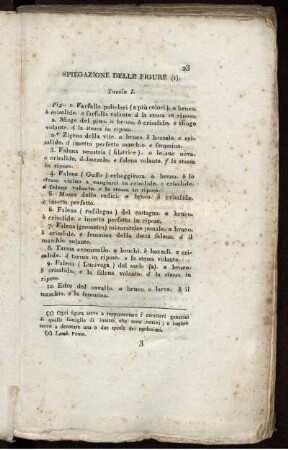 Spiegazione Delle Figure.
