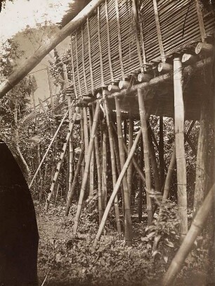Stelzenhütte in Mindanao (Philippinen-Aufenthalt 1897-1932)