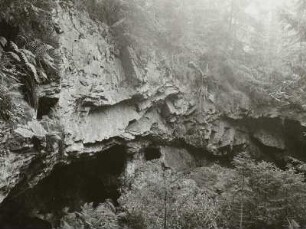 Zinnbergbau. Brennörter in den Zinnklüften des Saubachtals im Bergbaurevier Niederpöbel-Sadisdorf