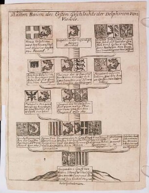 Geographische Beschreibung Deß Delphinats, Nebst einer Historischen Geschlecht- und Geschichs-Erzehlung der Viennoisischen Delphinen, von Guignone dem Ersten an, biß auff Ludovicum V. König Ludwig deß XIV. in Franckreich Cron-Printzen : Darinnen Die unterschiedliche Regiments-Veränderungen, Successiones ... entalten. Alles mit schönen Stamm- und Wappen-Taffeln, einem vollkommenen Land-Cärtlein ...