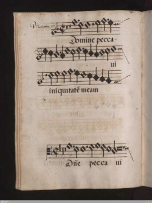 Petrus Manchicourt : Domine peccavi
