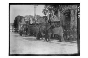 Elefanten zum Festumzug : Bangkok. Kriegselefanten zum Festumzug, geschmückt mit Trophäen, 1910