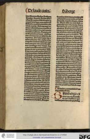 Ad laudem et commendationem Bamberge civitatis oratio.