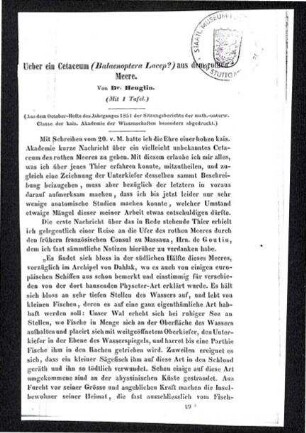 Über ein Cetaceum (Balaenoptera Lacep?) aus dem rothen Meere