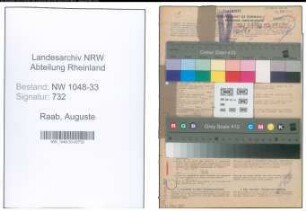 Entnazifizierung Auguste Raab , geb. 09.11.1908 (Lehrerin)