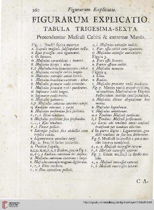 Figurarum explicatio: Tabula trigesima-sexta
