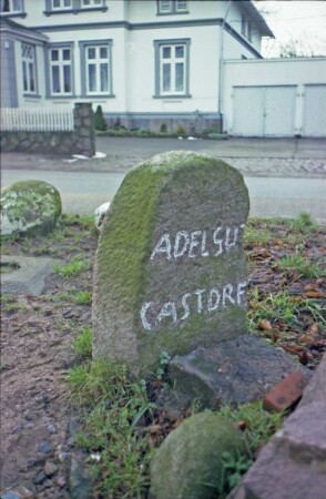 Steinhorst (Kreis Herzogtum Lauenburg): Grenzstein Adliges Gut Castorf