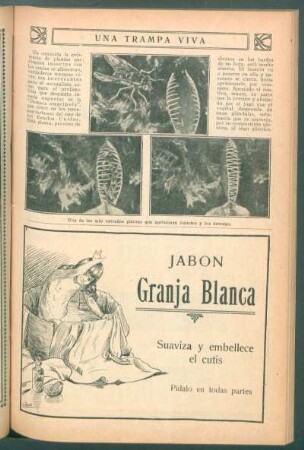 Una trampa viva