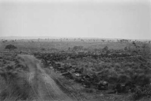 Blick in eine Graslandschaft : Eine Graslandschaft mit einzelnen Bäumen und der Straße, die Mochy Mirim und Campinas verbindet.