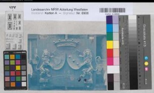 Velen (Velen) Schloß Wappenstein: Landsberg-Velen und Vittinghoff-Schell um 1900 15 x 21 Foto Landsberg-Velen Nr. 502