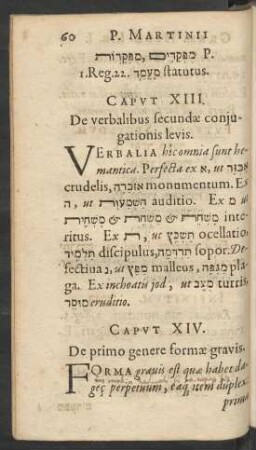 Caput XIV. De primo genere formae gravis.