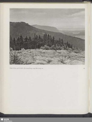 Hohe Möst und Großer Hermannsberg vom Rennsteig aus
