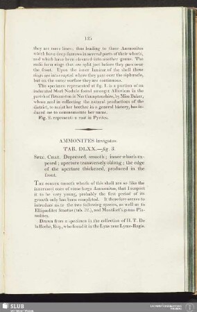 Ammonites laevigatus. Tab. DLXX.—figs. 3