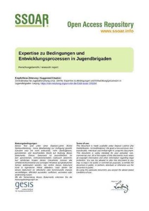 Expertise zu Bedingungen und Entwicklungsprozessen in Jugendbrigaden