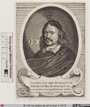 Bildnis Jacob van der Burch (Burgh)