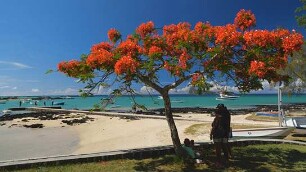 Mauritius ‐ Die Fernwehmacher unterwegs im Tropenparadies