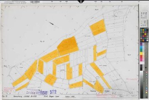 Littfeld (Kreuztal), Zusammenlegung Littfeld, Bl.5 Zuteilungskarte Littfeld Flur 10