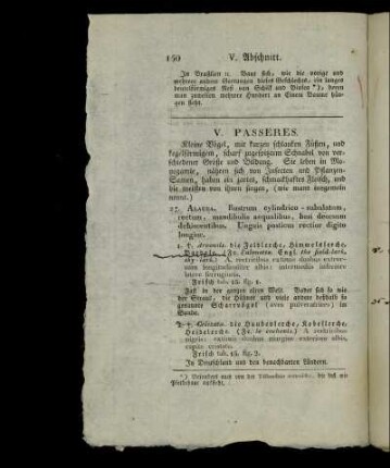 V. Passeres.