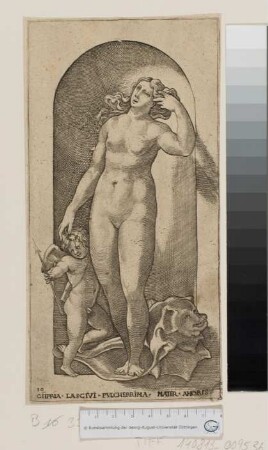 Venus